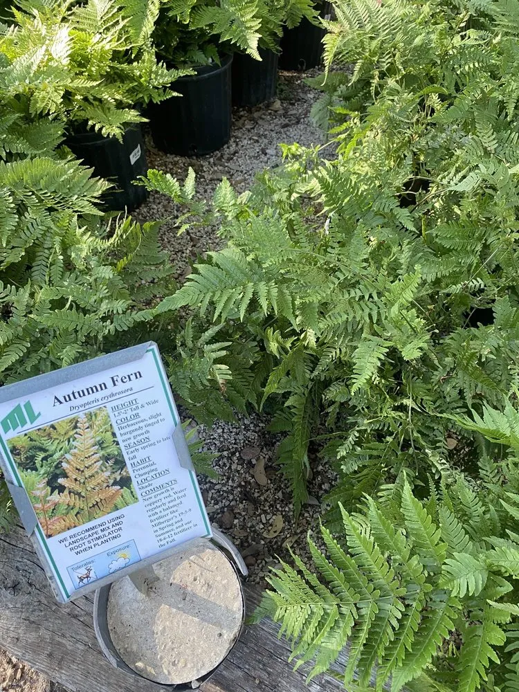 Trusted garden landscaping experts serving San Antonio, TX - Milberger Landscaping