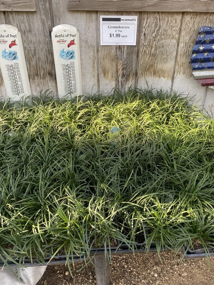 Professional landscape design in San Antonio, TX by Milberger Landscaping