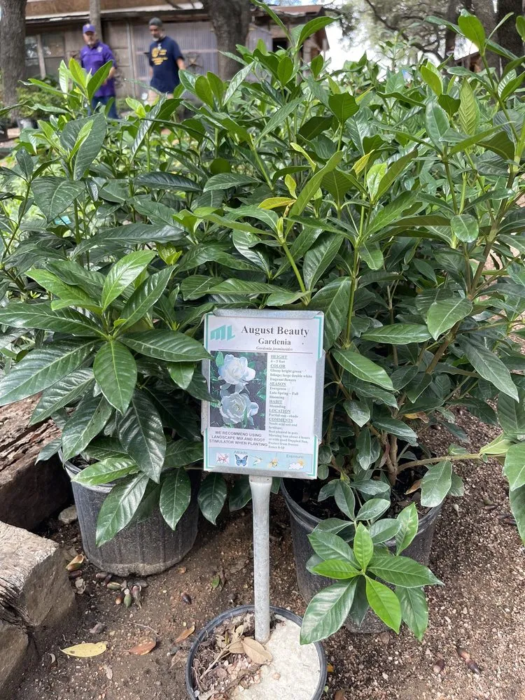 Reliable residential landscaping in San Antonio, TX - Milberger Landscaping