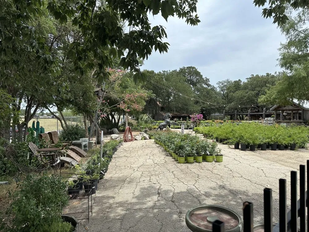 Local outdoor landscaping experts serving San Antonio, TX - Milberger Landscaping