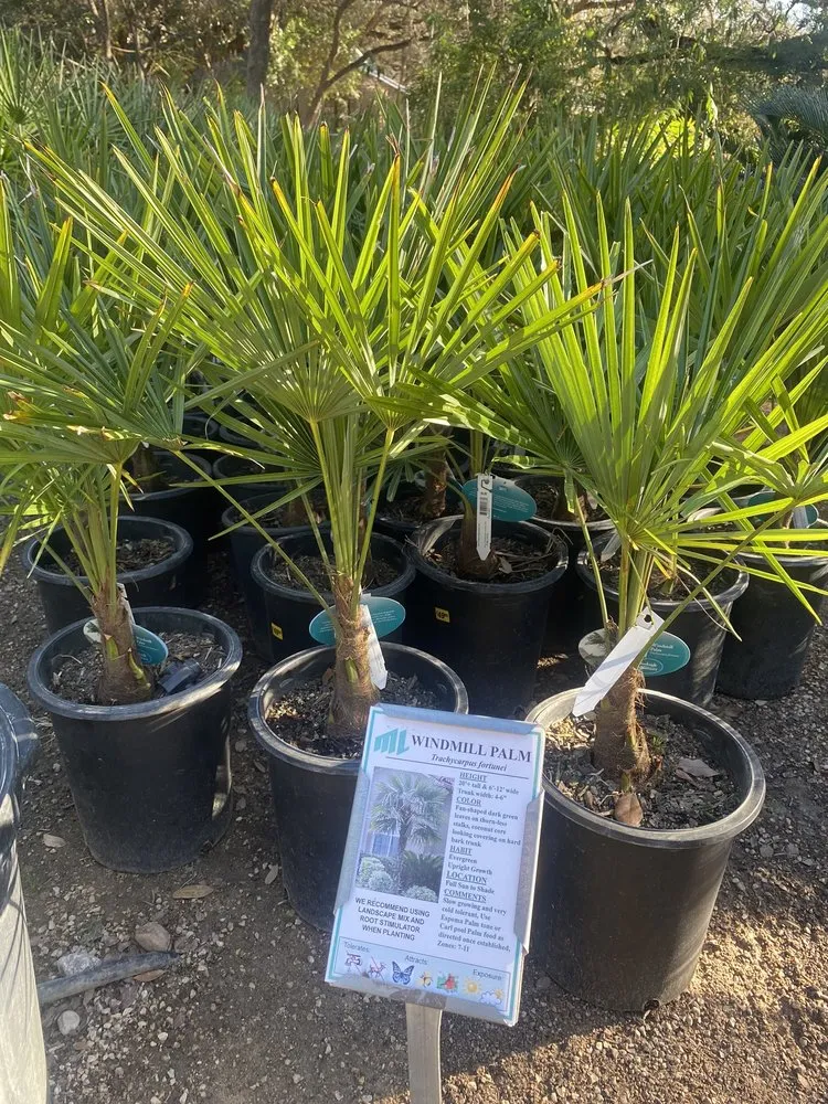 Top-rated yard maintenance for outdoor upgrades in San Antonio, TX by Milberger Landscaping