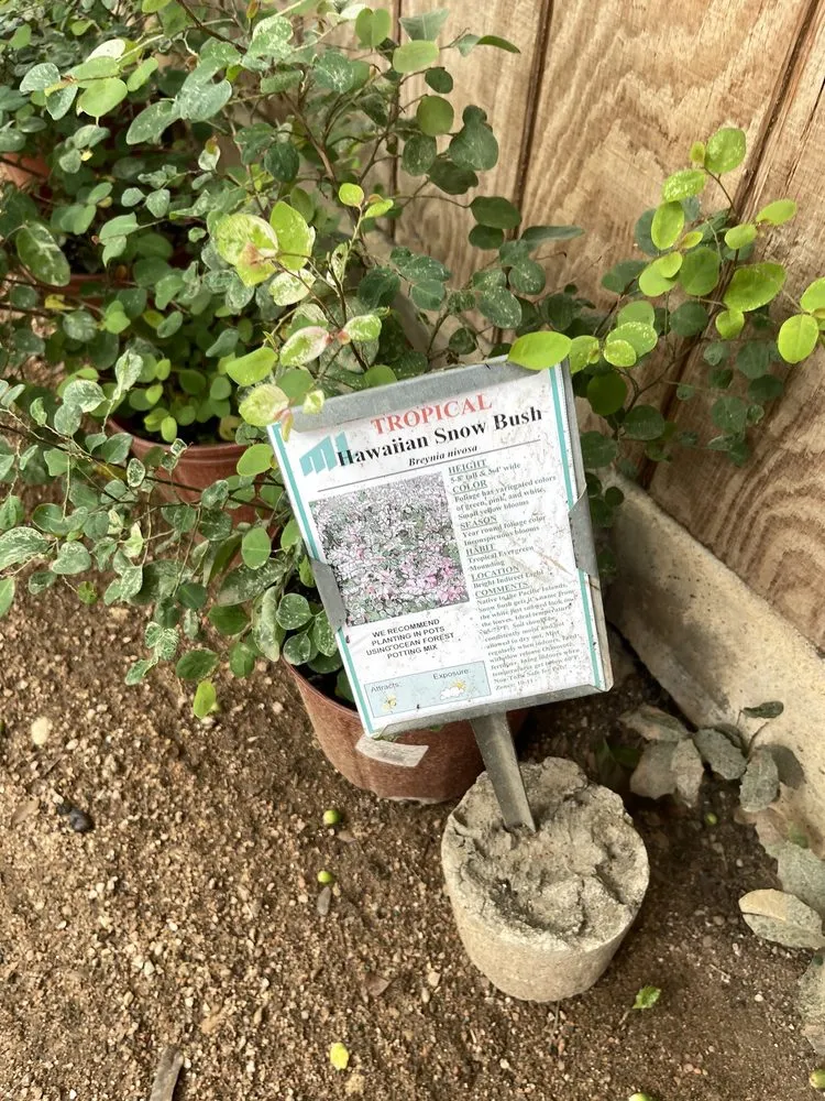 Custom landscape installation for residential properties in San Antonio, TX by Milberger Landscaping
