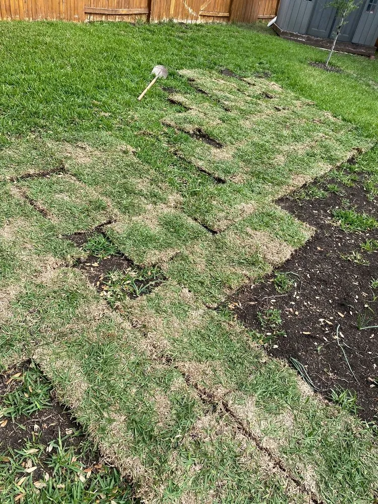 Custom outdoor landscaping for year-round maintenance in San Antonio, TX by Milberger Landscaping