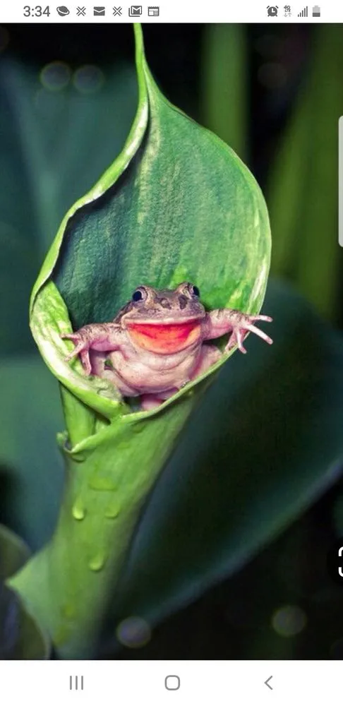 Affordable yard maintenance in San Antonio, TX - Milberger Landscaping