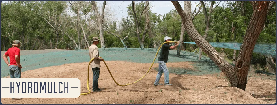 Top-rated landscape installation experts serving Amarillo, TX - Milburn Landscape & Concrete