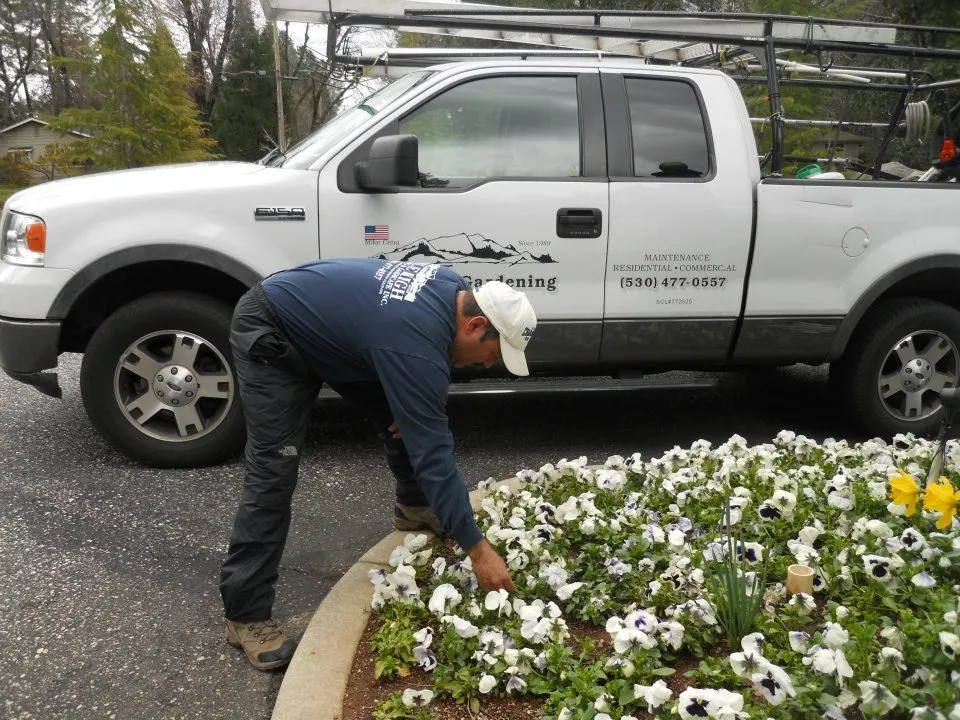 Affordable landscape installation experts serving Nevada City, CA - Mile High Gardening & Landscape