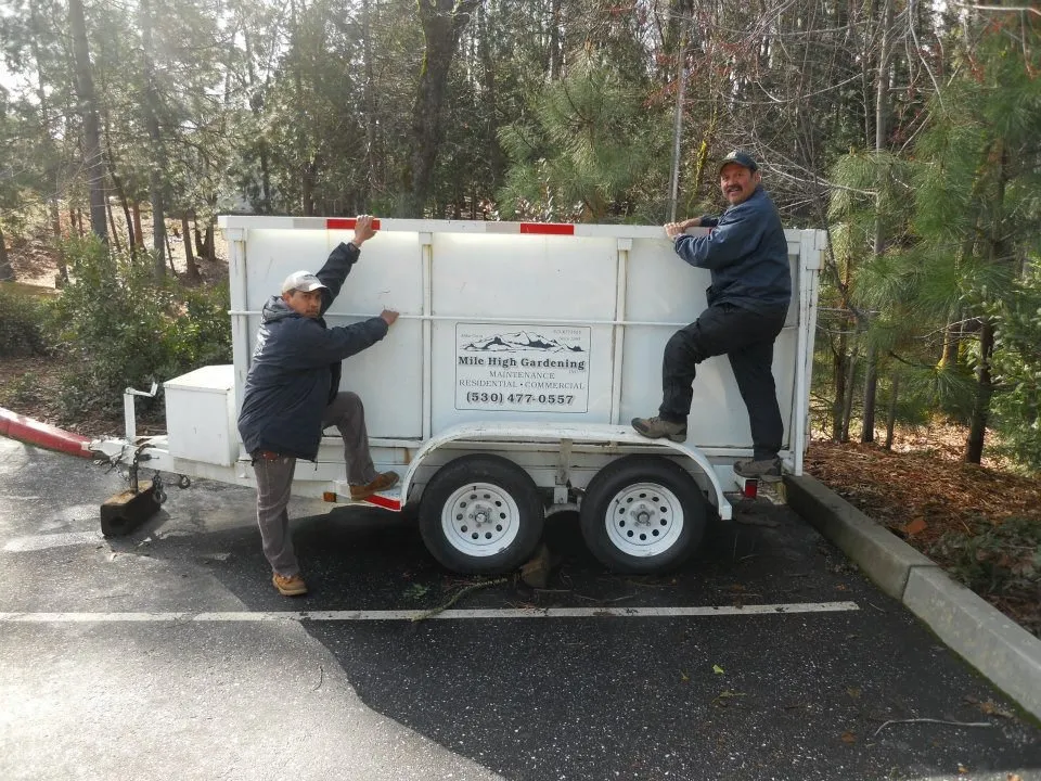 Professional yard cleanup service in Nevada City, CA by Mile High Gardening & Landscape