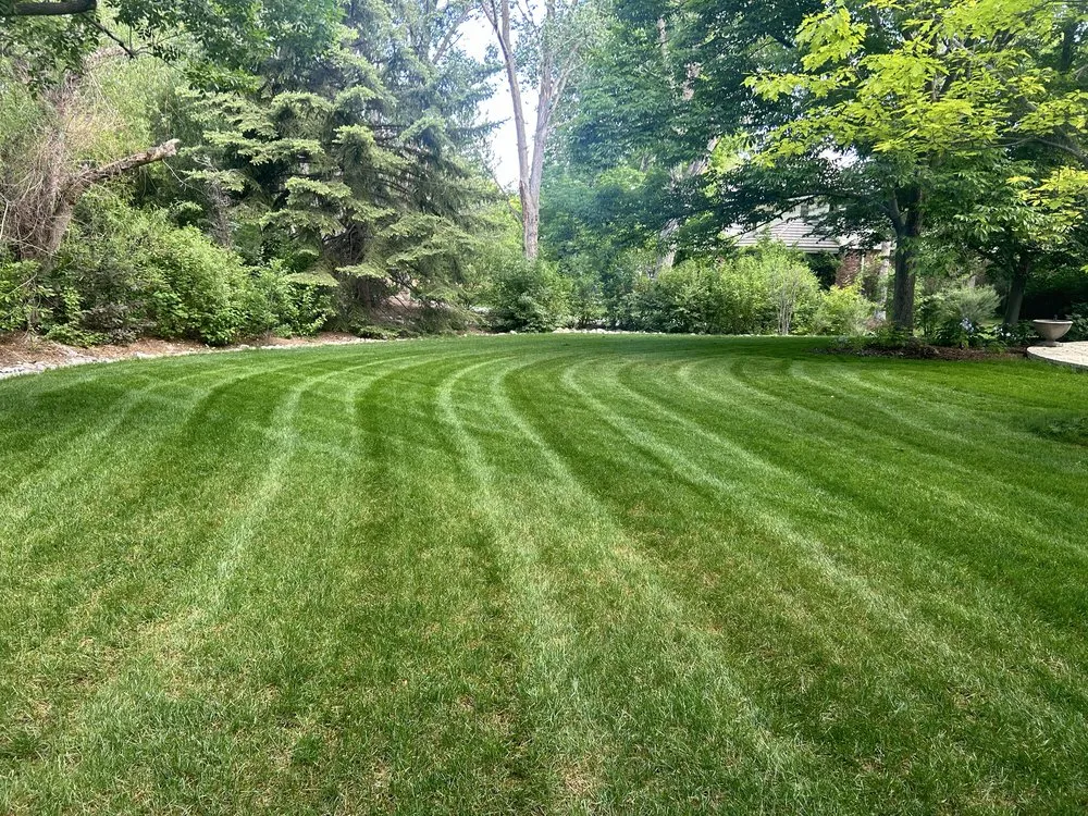 Local landscaping services for residential properties across Denver, CO - Mile High Lawn Care