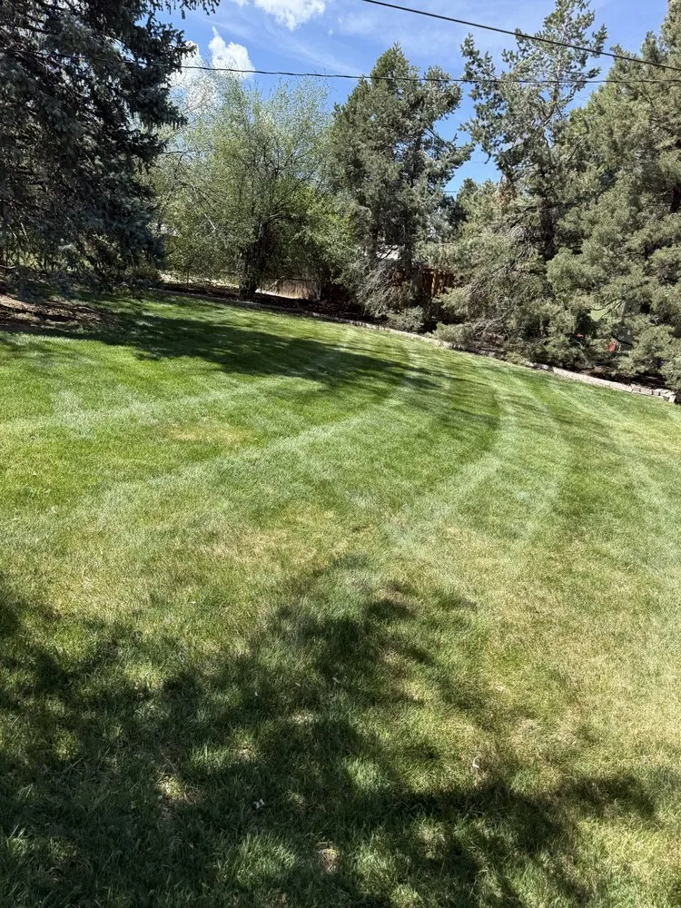 Professional landscape design experts serving Denver, CO - Mile High Lawn Care