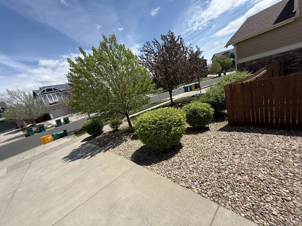 Expert landscaping services in Denver, CO - Mile High Lawn Care