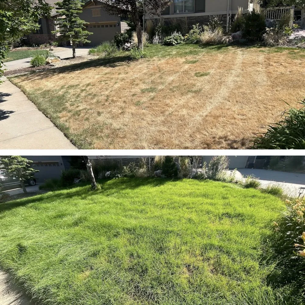 Expert residential landscaping in Denver, CO by Mile High Lawn Care