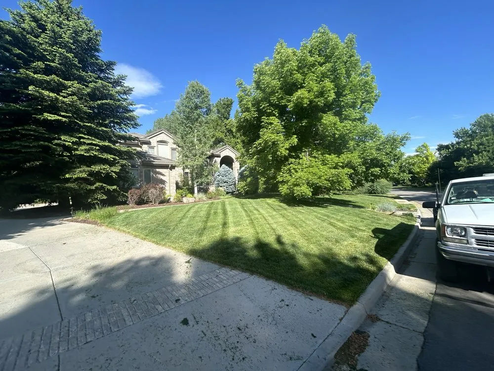 Custom yard cleanup service for beautiful yards across Denver, CO - Mile High Lawn Care