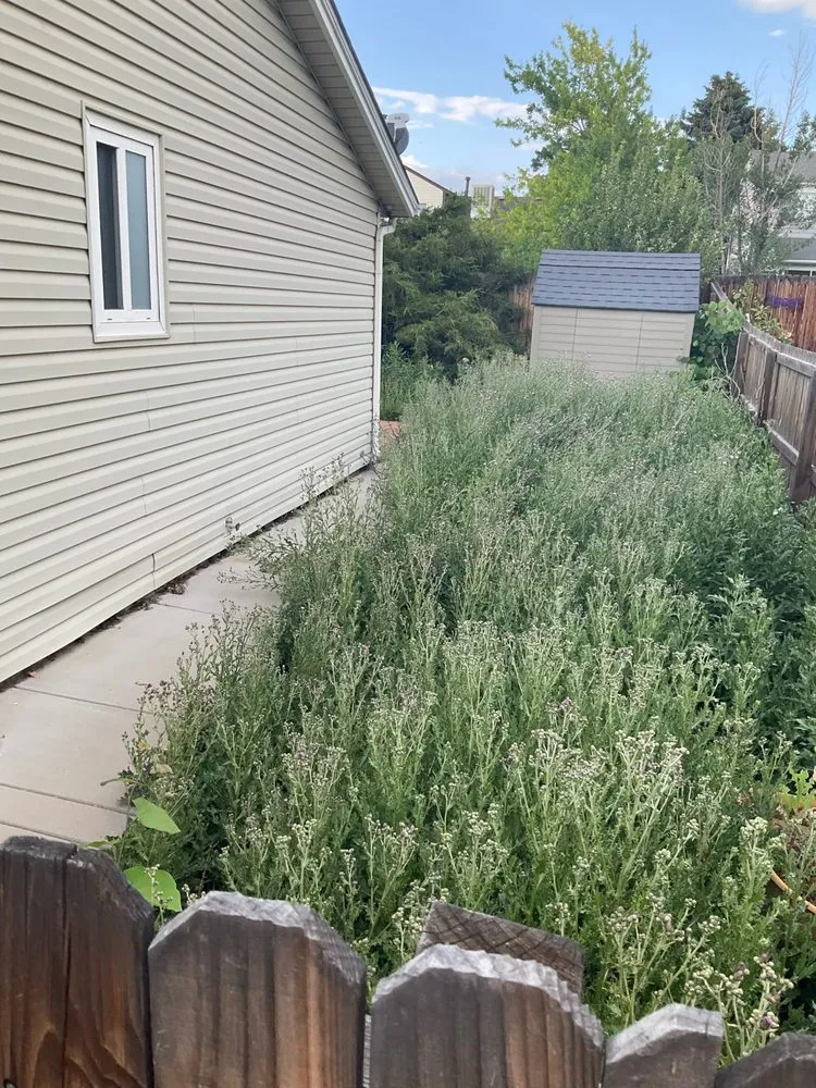 Expert landscape installation experts serving Denver, CO - Mile High Lawn Care