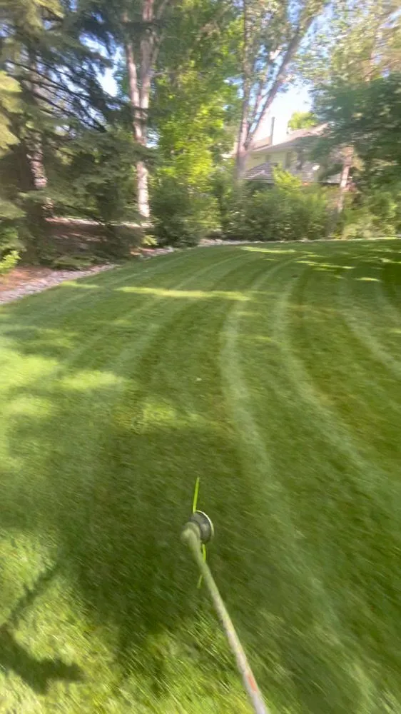 Trusted landscape design in Denver, CO - Mile High Lawn Care