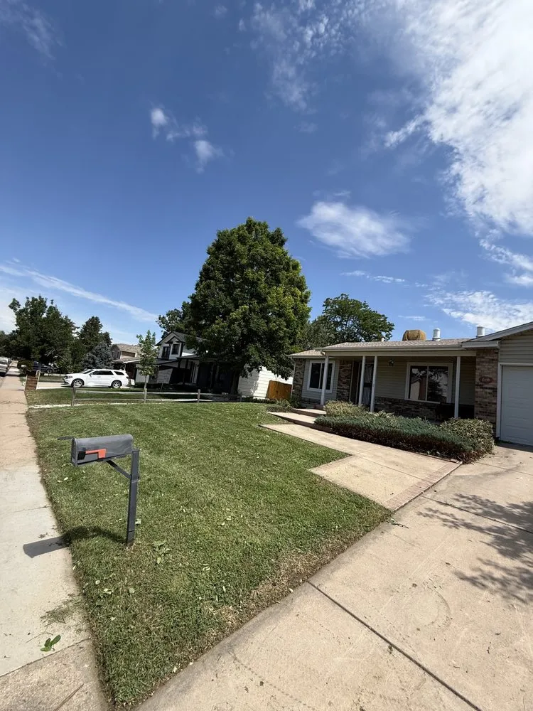 Affordable yard cleanup service for year-round maintenance in Denver, CO by Mile High Lawn Care