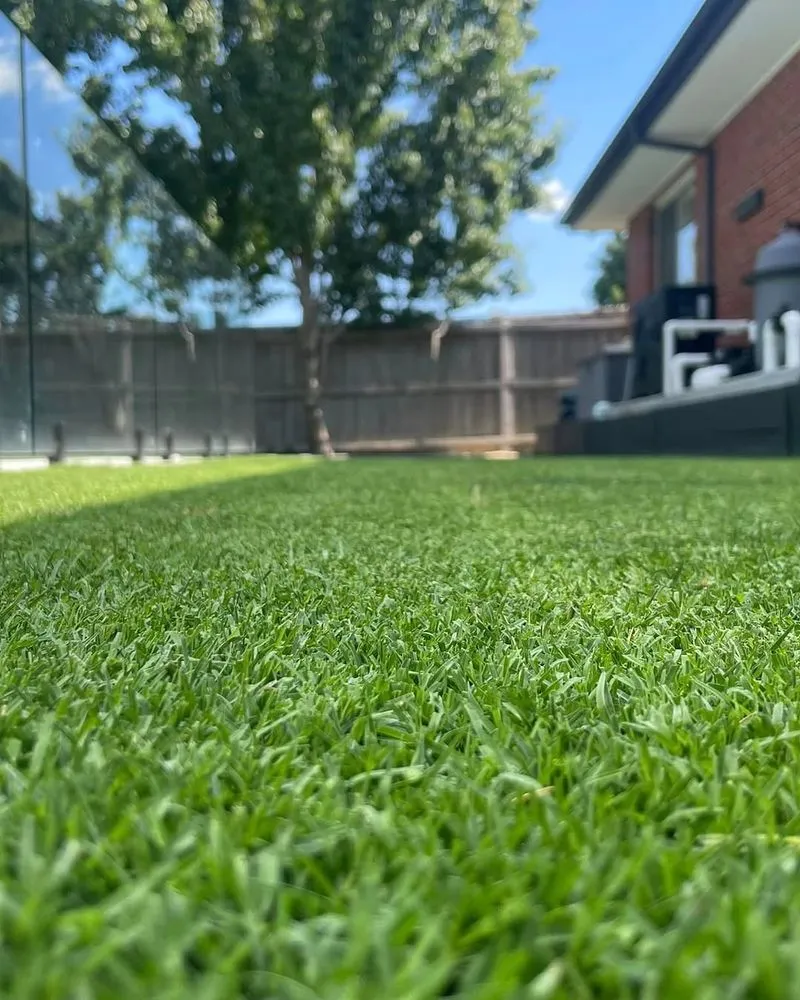 Professional yard cleanup service with custom design across Denver, CO - Mile High Lifescape