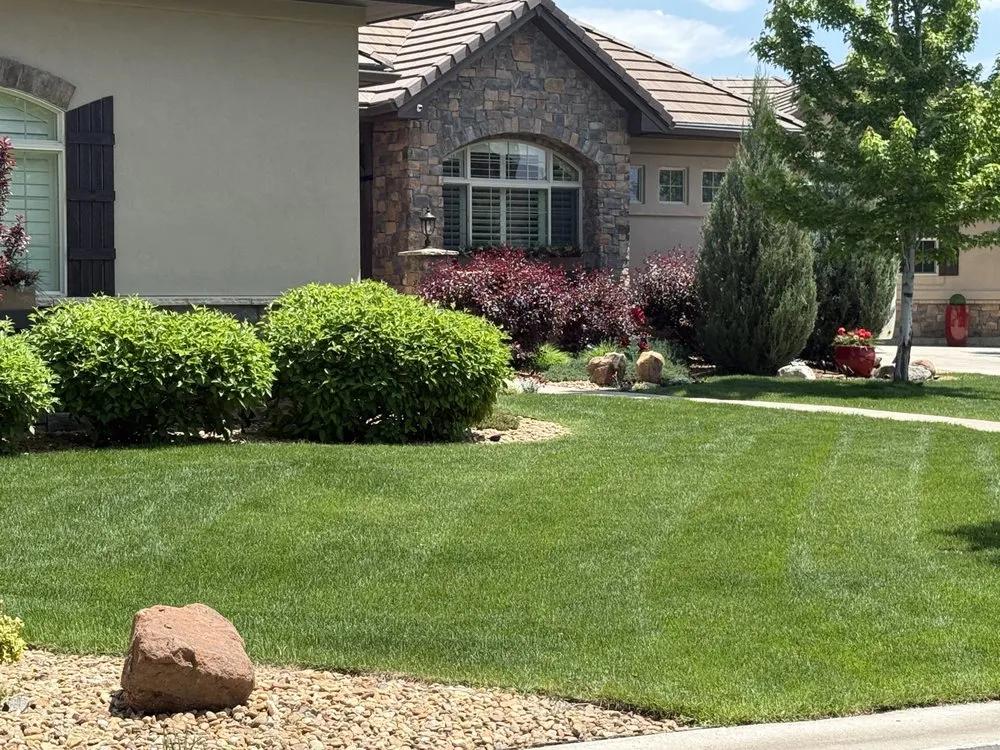 Custom garden landscaping for year-round maintenance in Denver, CO by Mile High Lifescape