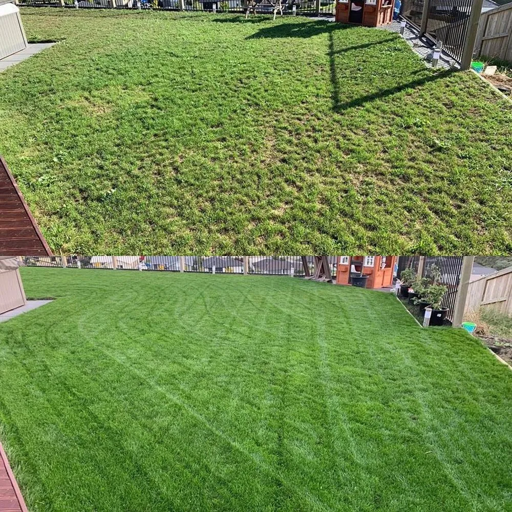 Expert landscaping services in Denver, CO by Mile High Lifescape