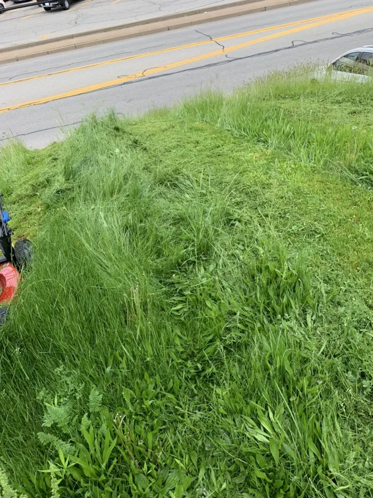 Trusted lawn care service near you across McKnight, PA - Mile High Services