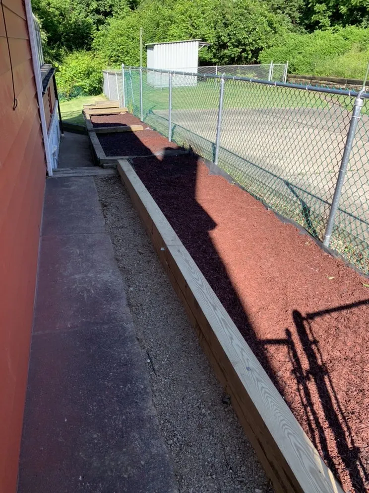 Top-rated yard cleanup service in McKnight, PA by Mile High Services