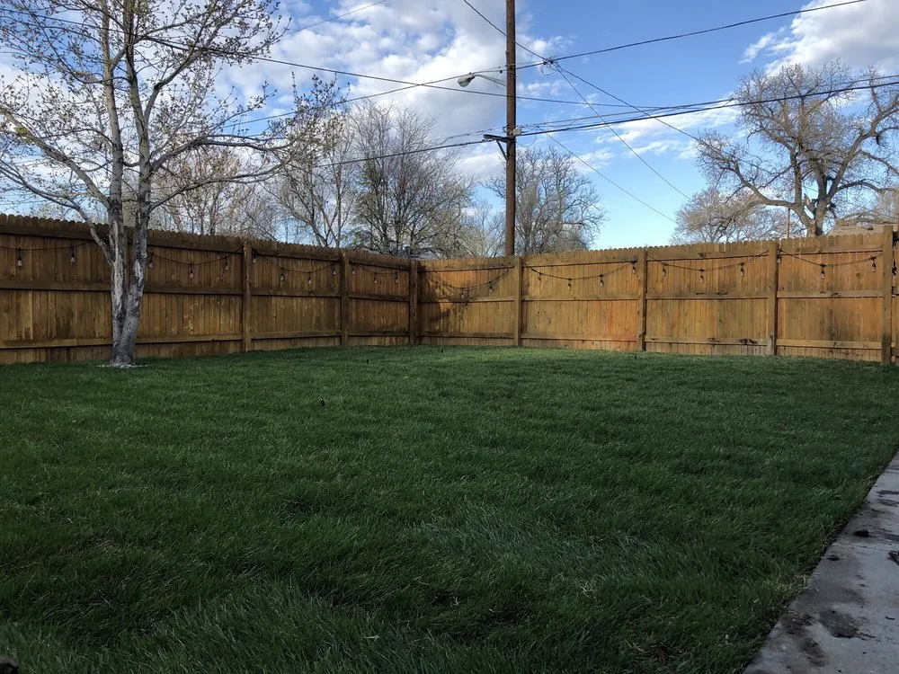 Custom yard cleanup service in Denver, CO - Mile High Sod Farm