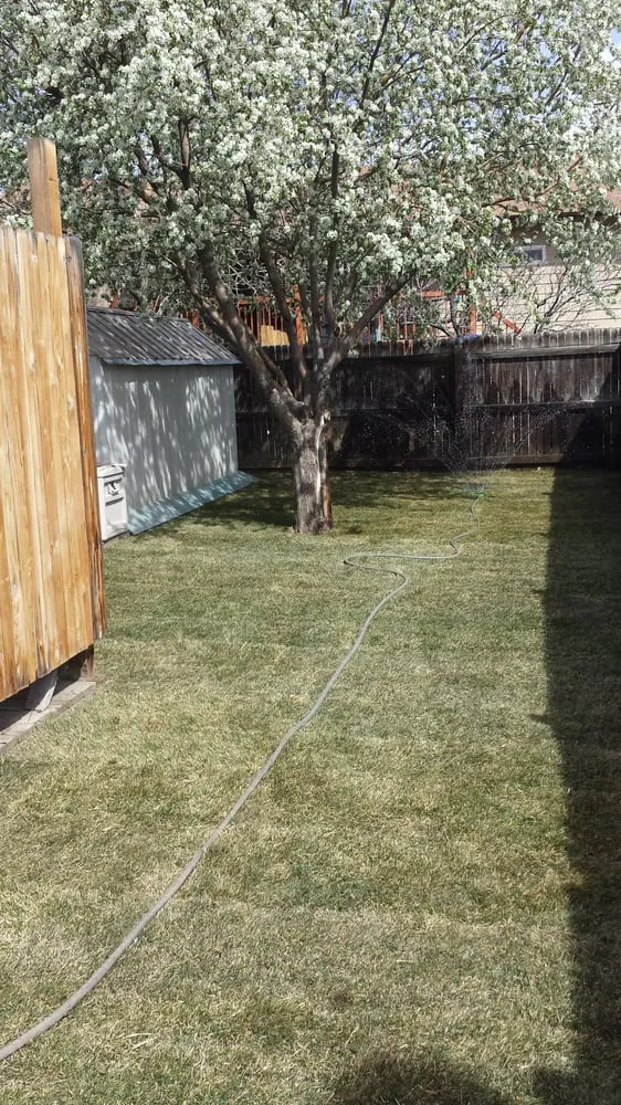 Local outdoor landscaping for outdoor upgrades in Denver, CO by Mile High Sod Farm