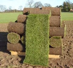 Reliable residential landscaping with custom design in Denver, CO by Mile High Sod Farm