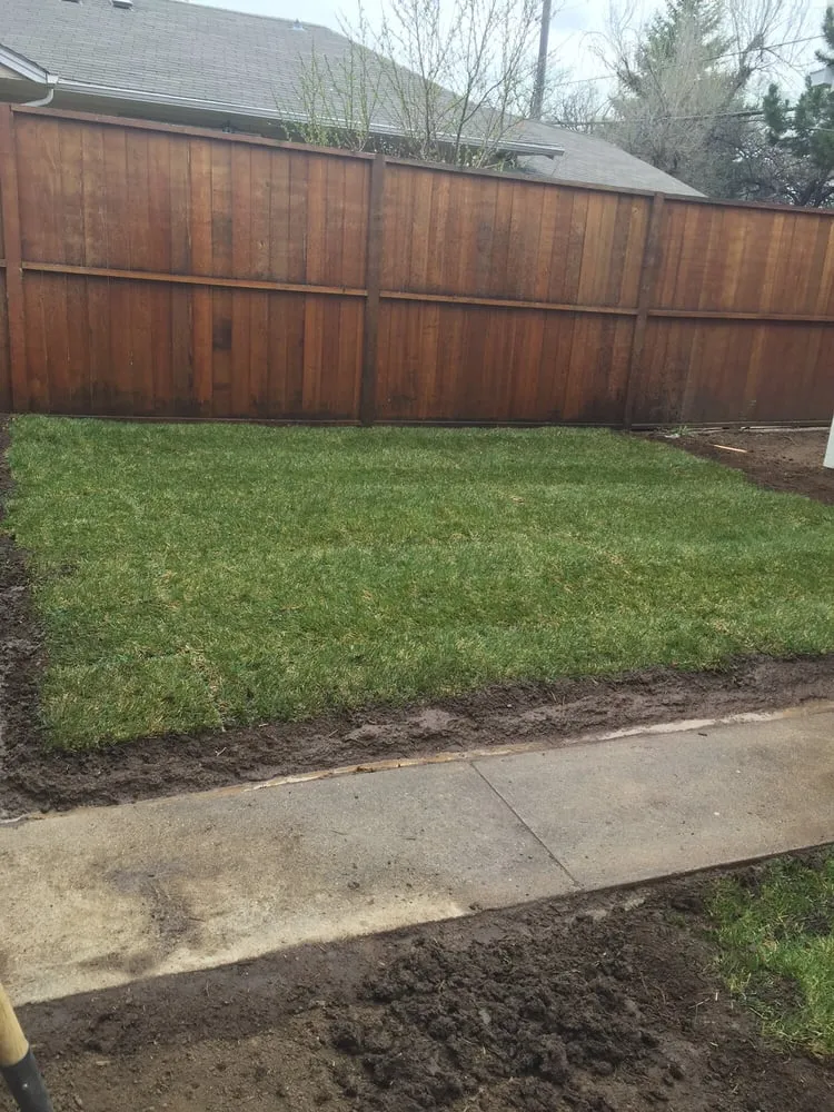 Reliable outdoor landscaping for outdoor upgrades in Denver, CO by Mile High Sod Farm