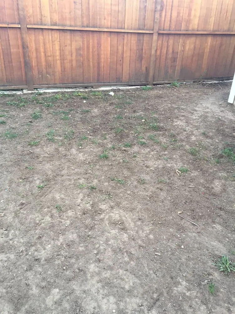 Trusted lawn mowing service in Denver, CO by Mile High Sod Farm