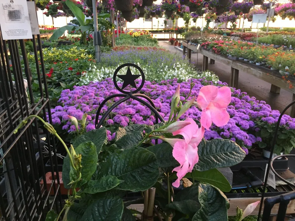 Professional garden landscaping in Clarksburg, OH - Mile Tree Lawn & Garden