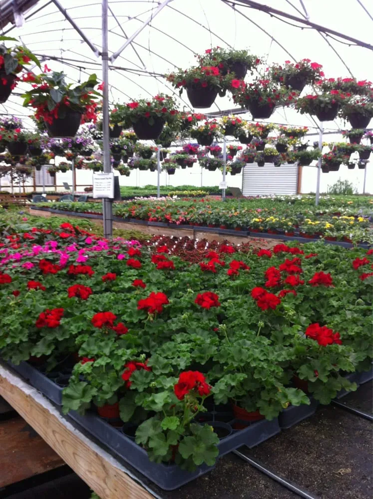 Custom garden landscaping for outdoor upgrades across Clarksburg, OH - Mile Tree Lawn & Garden
