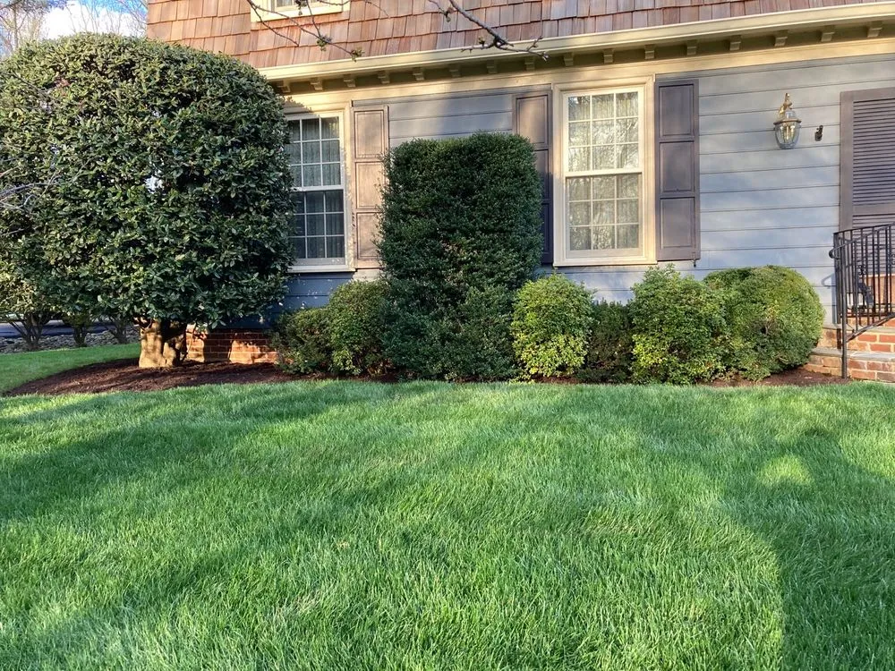 Expert lawn care service in Herndon, VA by Miles Landscaping & Lawn Care