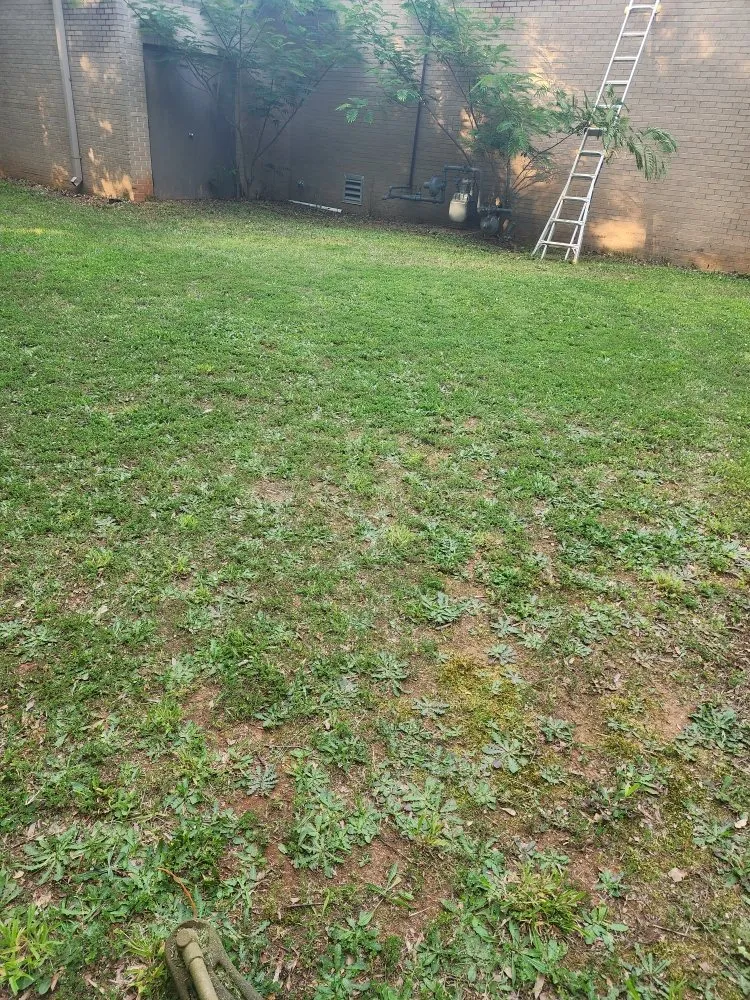 Custom residential landscaping experts serving Piedmont, SC - Miles Lawn Care & More