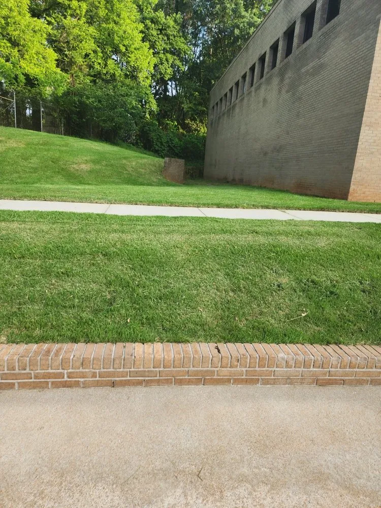 Expert landscape installation for outdoor upgrades in Piedmont, SC by Miles Lawn Care & More