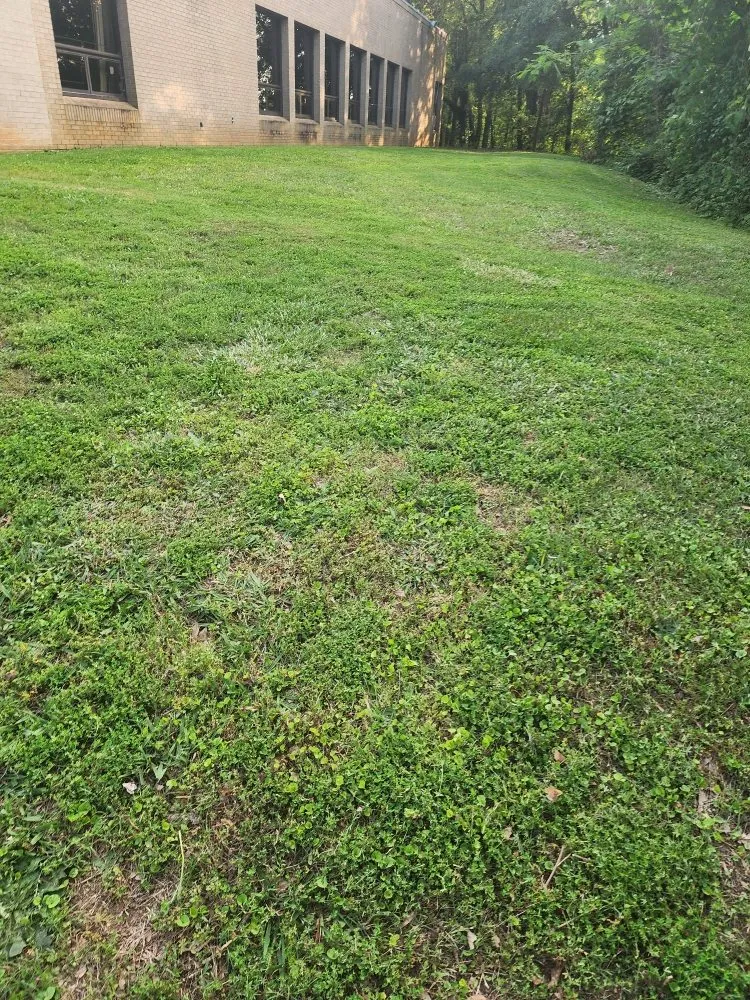 Local lawn mowing service near you in Piedmont, SC by Miles Lawn Care & More