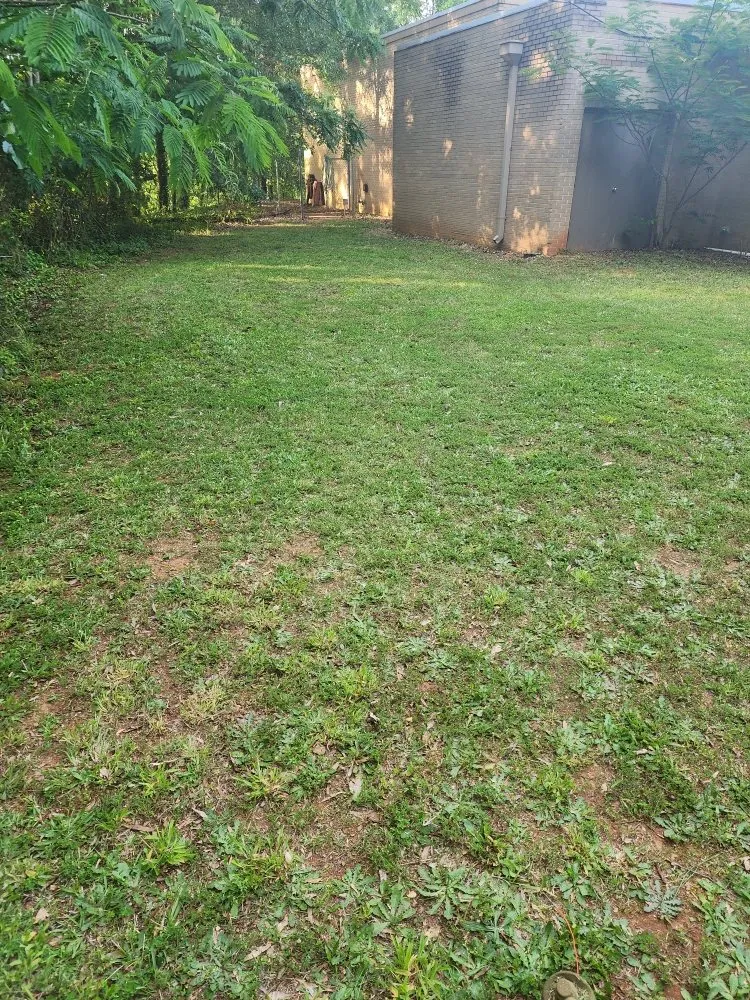 Custom lawn mowing service for beautiful yards across Piedmont, SC - Miles Lawn Care & More