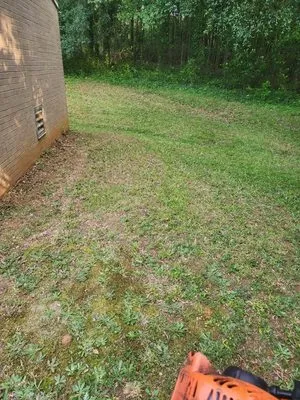 Miles Lawn Care & More Logo