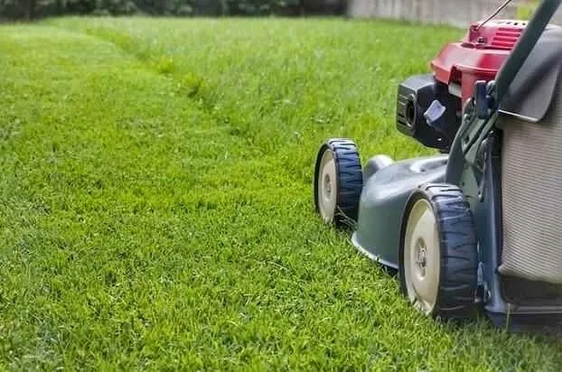 Top-rated lawn mowing service experts serving Louisville, KY - Miles Lawn Care
