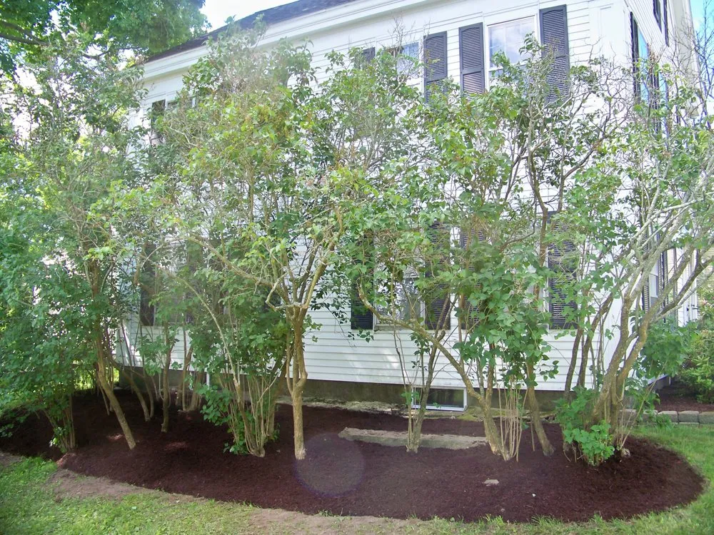 Affordable garden landscaping for outdoor upgrades in Blackstone, MA by Miles of LandCare