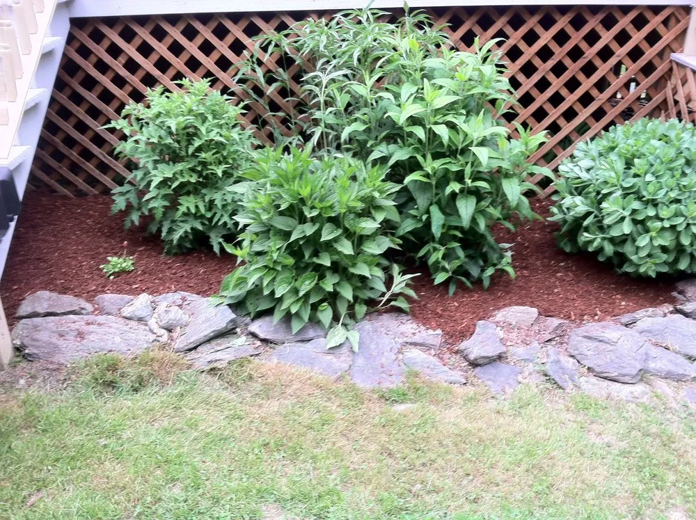 Top-rated outdoor landscaping in Blackstone, MA - Miles of LandCare