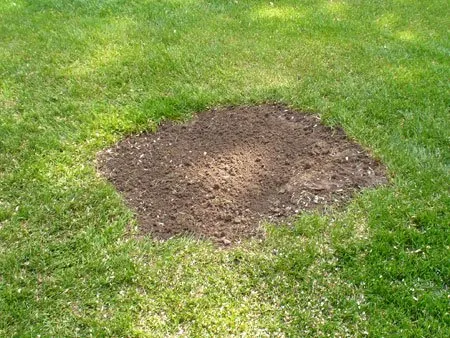 Expert residential landscaping near you across Royersford, PA - Miles Tree and Stump