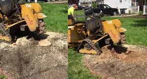 Trusted lawn mowing service in Royersford, PA - Miles Tree and Stump