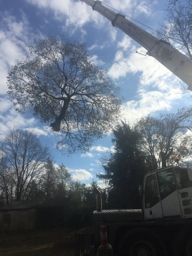 Local landscaping services for residential properties in Royersford, PA by Miles Tree and Stump