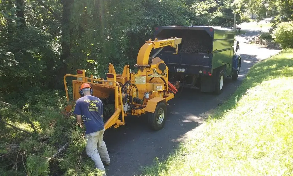Reliable lawn mowing service for outdoor upgrades in Royersford, PA by Miles Tree and Stump