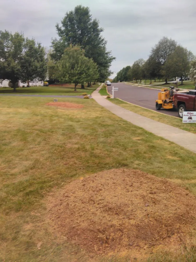 Affordable lawn care service near you across Royersford, PA - Miles Tree and Stump