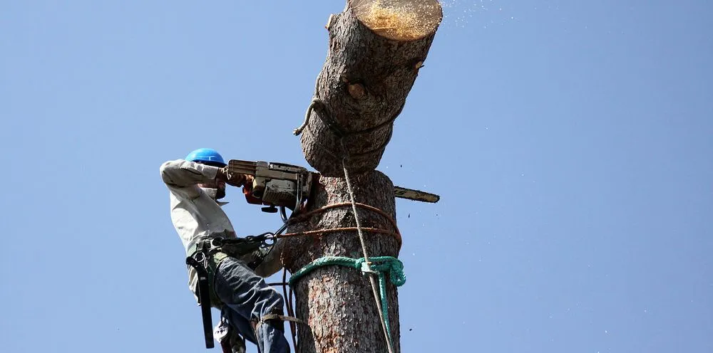 Professional residential landscaping near you across Royersford, PA - Miles Tree and Stump