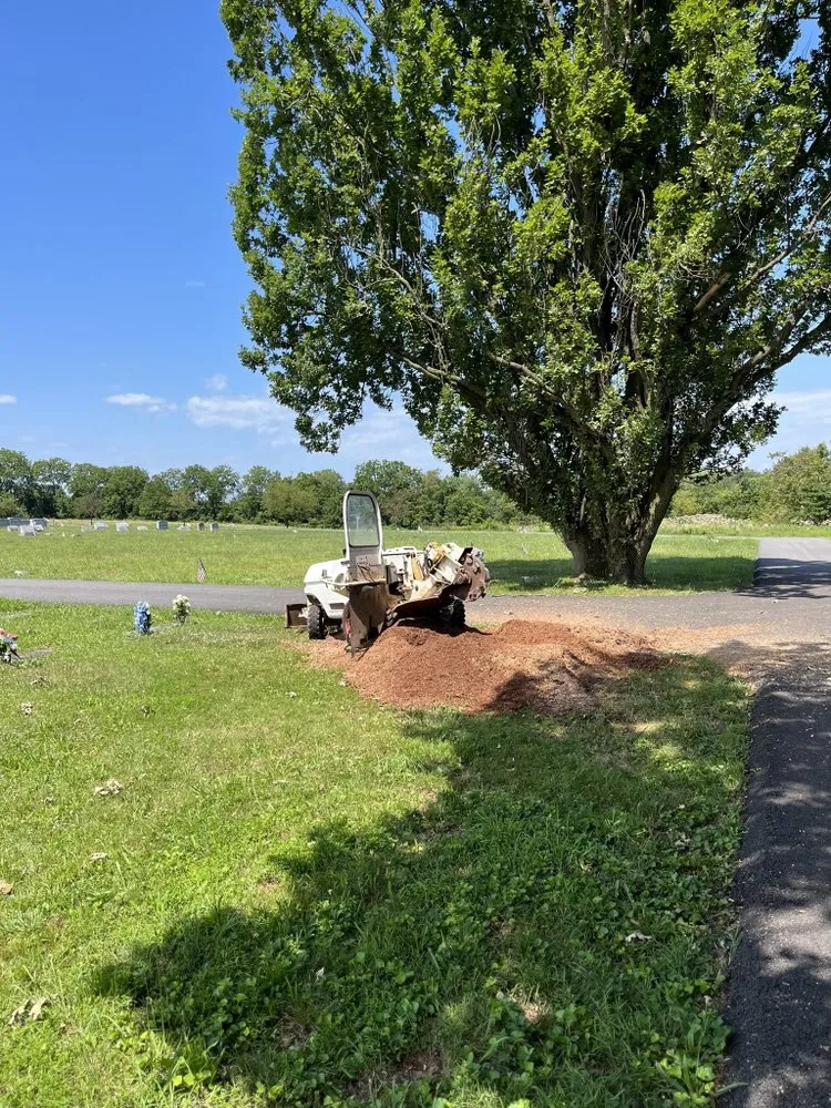 Trusted outdoor landscaping in Royersford, PA - Miles Tree and Stump