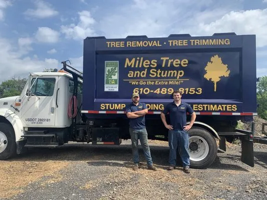 Miles Tree and Stump Logo