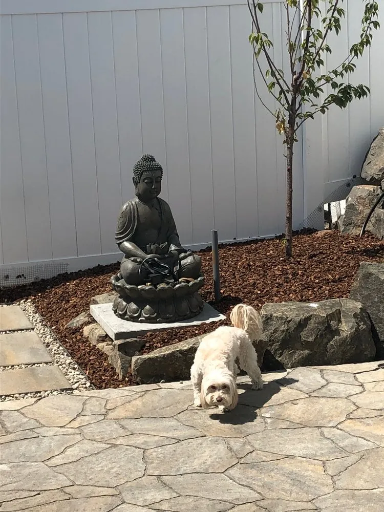 Professional landscape installation for year-round maintenance in Medford, OR by Milestone Landscape