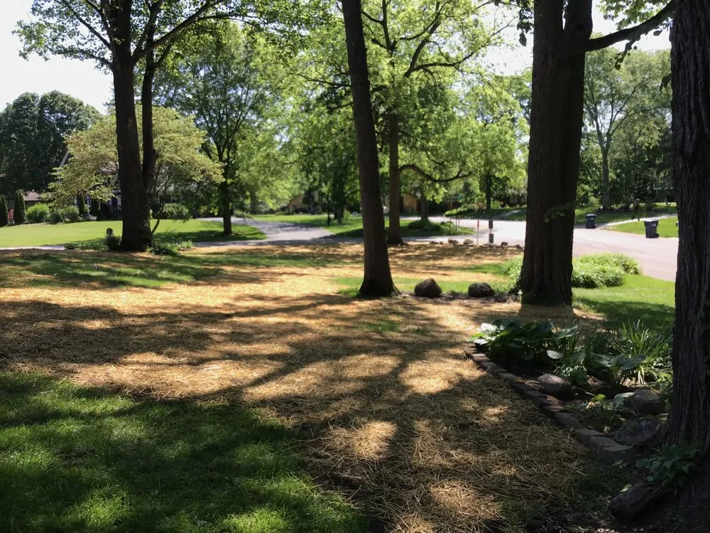 Professional landscape design in Anderson, IN - Milestone Landscaping